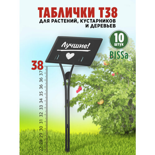 ������ ������ ������� �������� ��� ��������, Bissa �38, ������, 10 �� ����