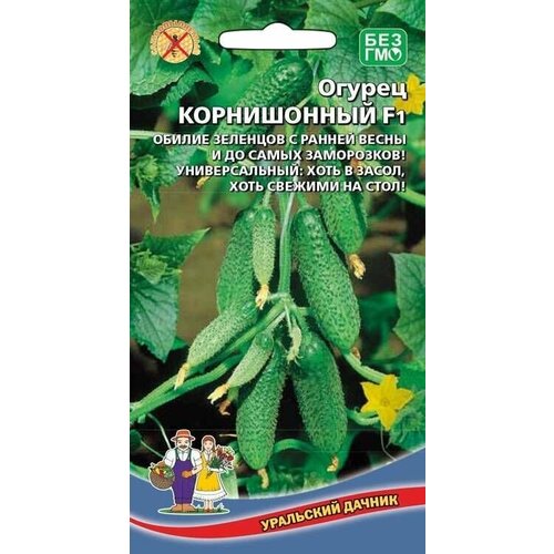 ������ ������ ������ ����������� F1, 8 �������, ��������� ������ ����