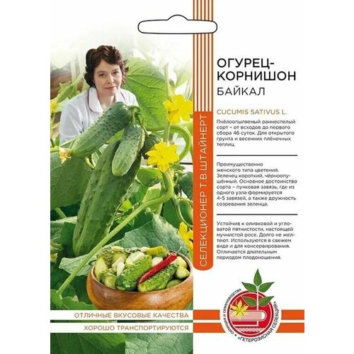 ������ ������ ������ ������ �������� ������ F1 12 ������� ������������ �������� ����