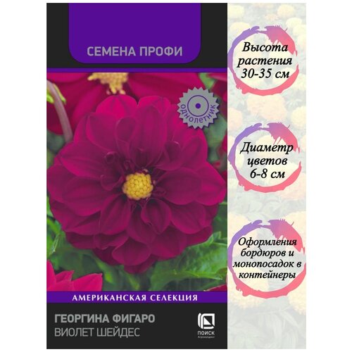 ������ ������ �������� ������ ������ ������ ������ ����� 10 �� ����