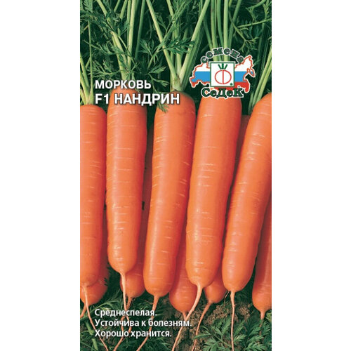 ������ ������ ������ ������� ������� F1 100�� (�����) ����