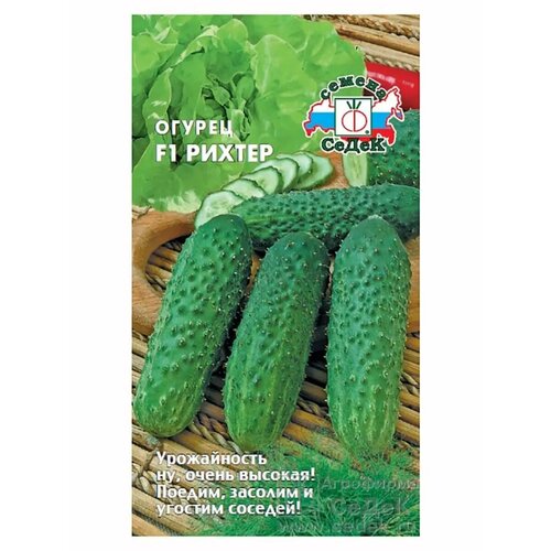 ������ ������ ������ 