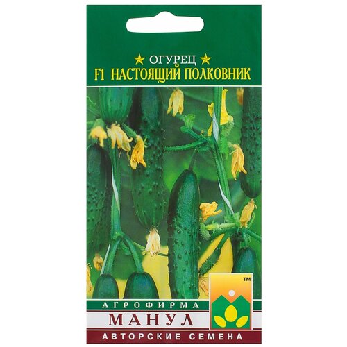 ������ ������ ������ ��������� ��������� F1 ����