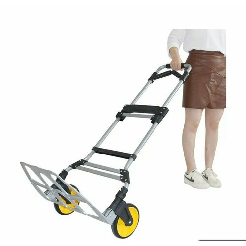 ������ ������ ������� ������������ �������� 150 ��. ����