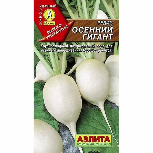 ������ ������ ������ ����� ������� ������ (������) 3� ����