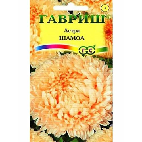 ������ ������ ����� 