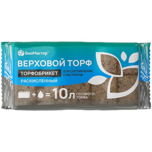 ������ ������ ����������� �������� ���� ������������, 10� 