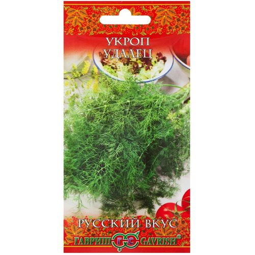 ������ ������ ������. ����� 