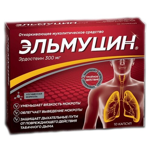 ������ ������ �������� ����., 300 ��, 10 ��. ����