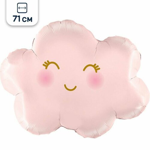 ������ ������ ��������� ��� �� ������� ������� ������, 71 �� ����