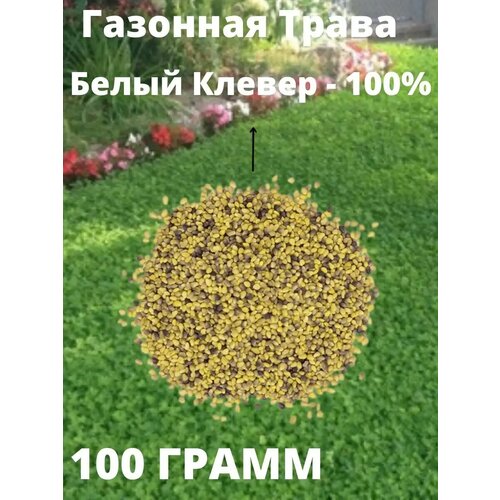 ������ ������ ������ 