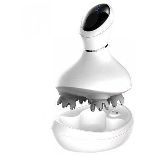 ������ ������ �������� Rombica Wellness Tonta ����