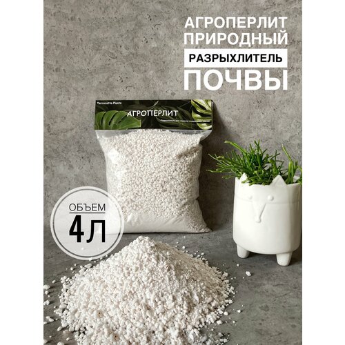 ������ ������ ������ ��� �������� Terracotta Plants 4 ����� ������������ ��� ������ ����