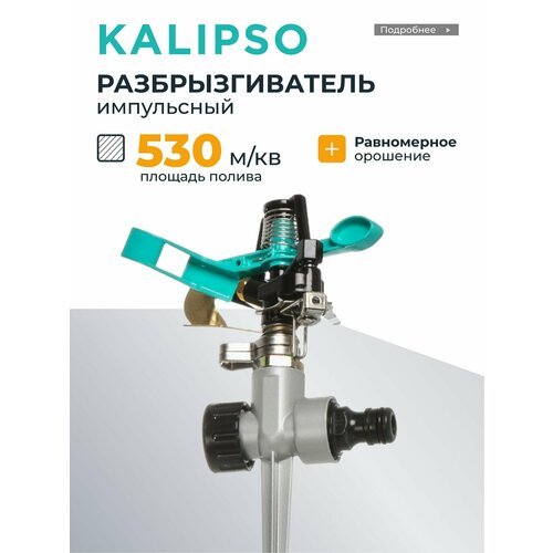 ������ ������ Kalipso ��������������� ������� ���������� ����