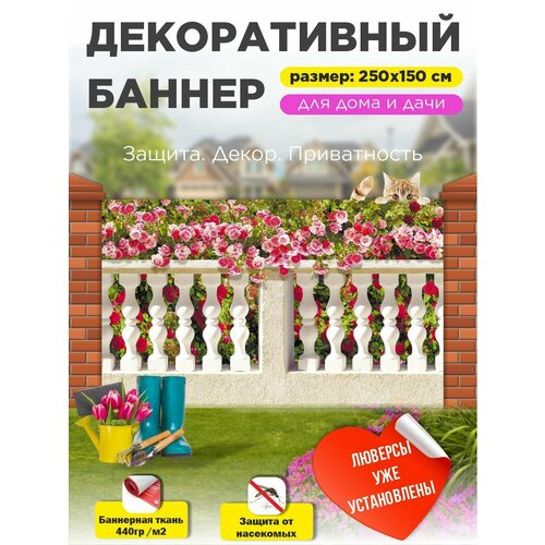 ������ ������ ��������� ������ �� ����� � ��������� 250�150 �� ����
