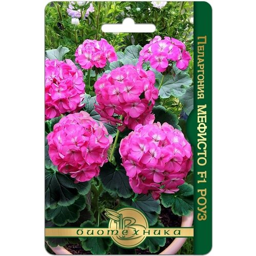 ������ ������ ������ ���������� ������� ���� F1, 5 �� ����