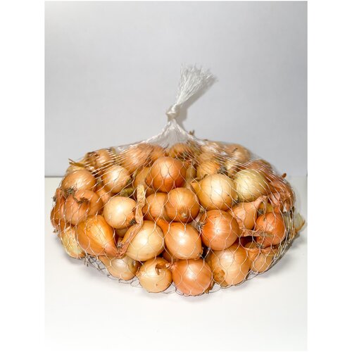 ������ ������ ����� ���-����� ����������� ����� 10/21 (0,5 ��) ����