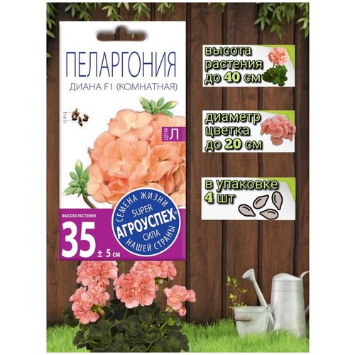 ������ ������ ������ ��������� ������ ���������� ����� F1, ������ ��������� 4�� ����