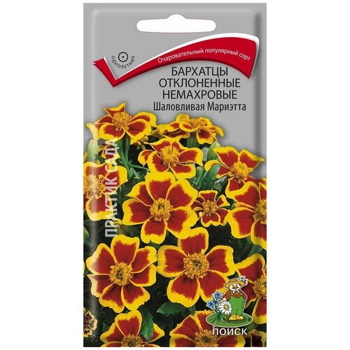 ������ ������ �������� ����������� ���������� ���������� �������� ����