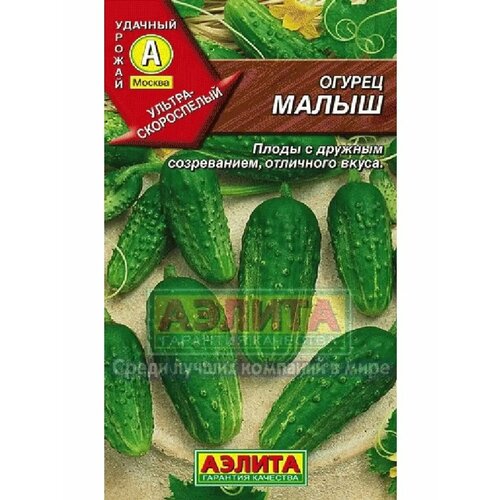 ������ ������ ������ 