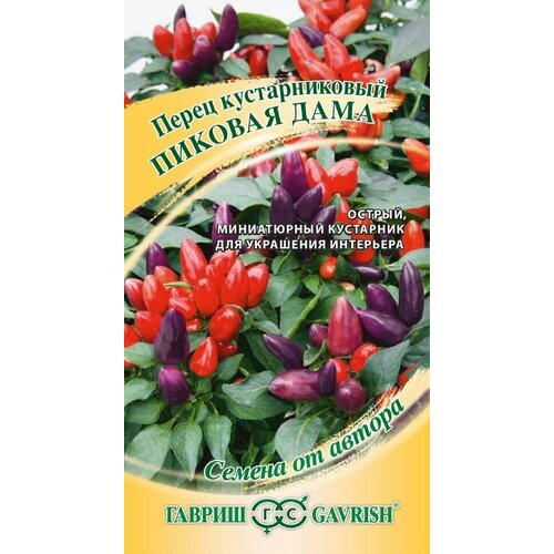 ������ ������ ������ ����� ������������� ������� ����, 5��, ������, ������ �� ������ ����