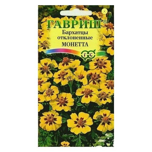 ������ ������ ������ �������� ����������� (�������) �������, 0,3�, ������ ����