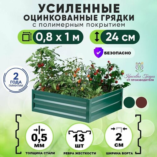 ������ ������ ������ ������������ �� ���� ��������� 1�0,8 ����� / ���������� ������������� ��� ������ ���� ������ � ������� ������� / ������ ��� ���� � ������� ������ ����� 24 �� ����