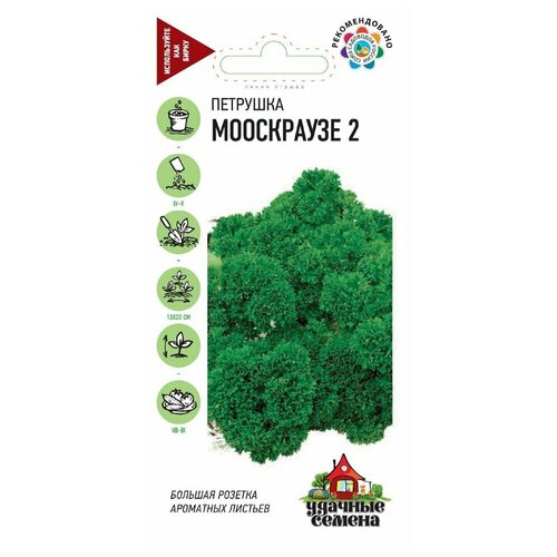 ������ ������ ������. �������� �������� 