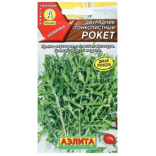 ������ ������ ������ ��������� ������������ 