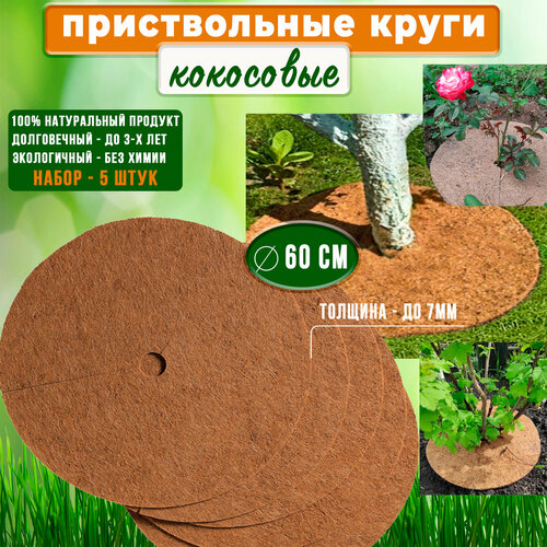 ������ ������ ��������� ������, ������������ ���� 60 ��, ����� 5 ��. �������� ���������� ����