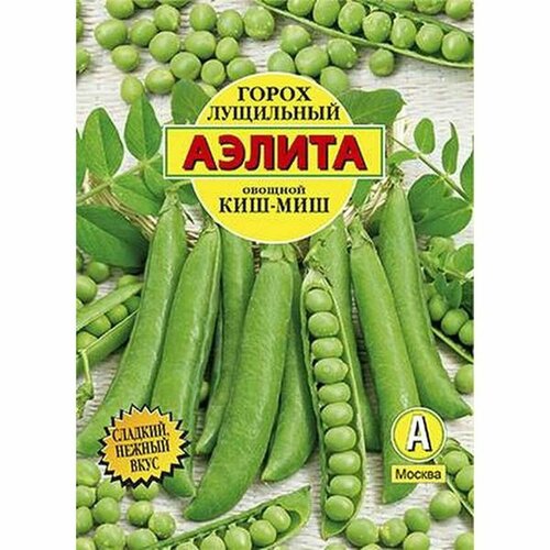 ������ ������ ������ ����� ���-��� ��������� ��. (������) �/� 25� ����