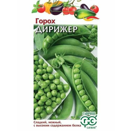 ������ ������ ����� 