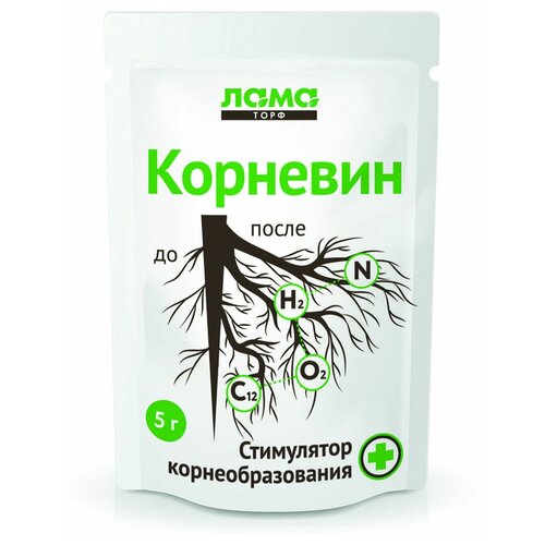 ������ ������ ��������� �������� ��������, 0.005 �, 5 �, 1 ��. ����