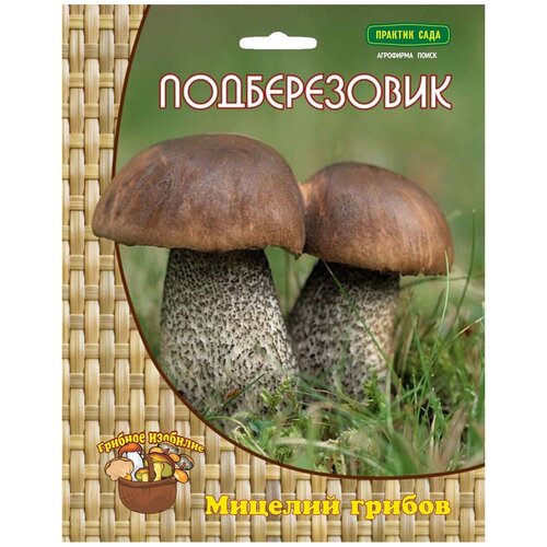 ������ ������ ����� ����������� 60 �� ����