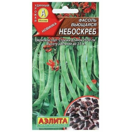 ������ ������ ������ ������ �������� 