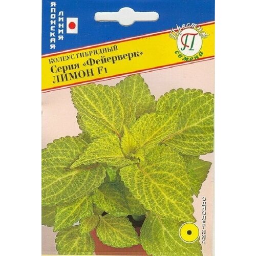 ������ ������ ������ ��������� ����� F1 10�� ����� � ������ (1 �����) ����