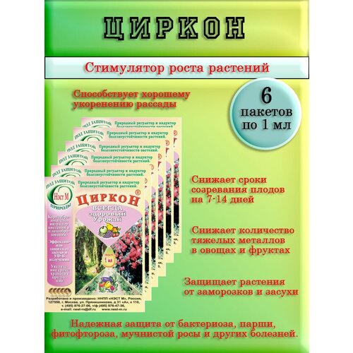 ������ ������ ������ 1 �� 6 �� ����