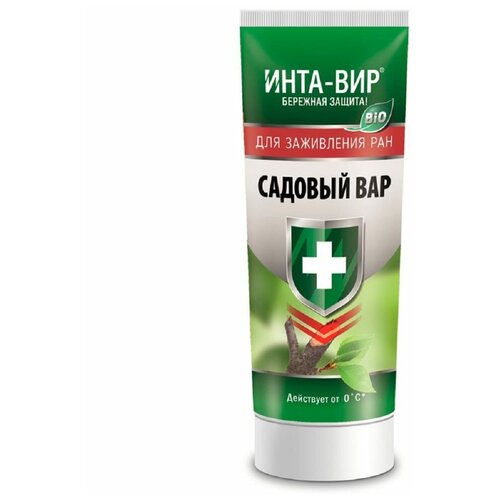 ������ ������ ����-��� ��� �������, 100 ��, 100 � ����