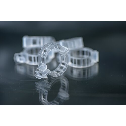 ������ ������ ������ ����������� 23�� ��� �������� (100 ����!) ����