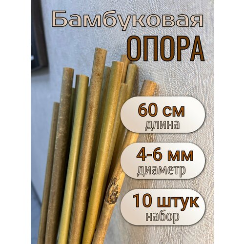 ������ ������ ����� ���������� ��� �������� � ������ 60 ��, 4/6 ��, 10��. ������� �������. ����