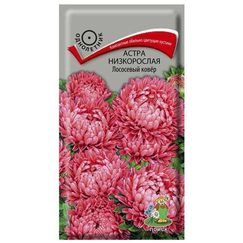 ������ ������ ������ ����� ����������� ��������� ����� ���������� 0,2 ��. ����