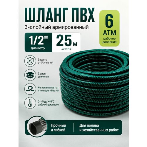 ������ ������ ����� ��� d 12 �� (1/2