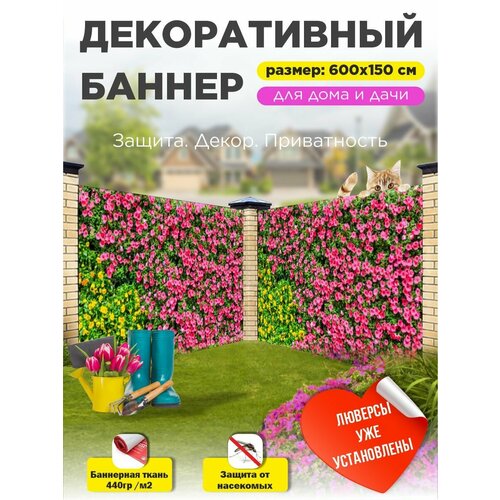 ������ ������ ������������ ����� ������ ��������� 600 �� � 150 �� � ��������� ����
