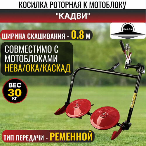 ������ ������ ����/���/������ ����