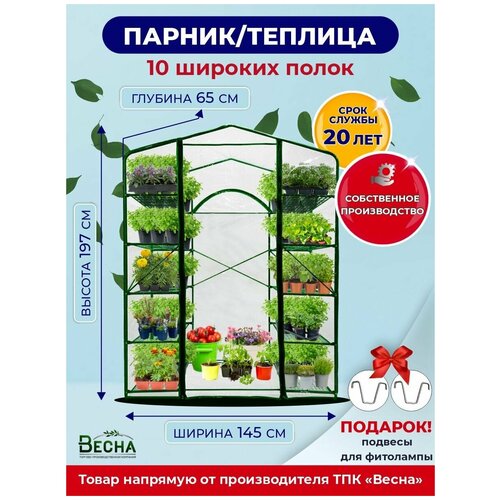 ������ ������ �������� �������, ������, 10 ������� �����, ����� �� ��� ������ ����