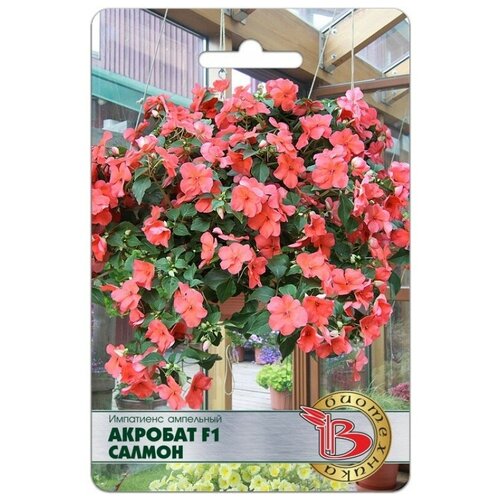 ������ ������ ������ ���������� ���������� 