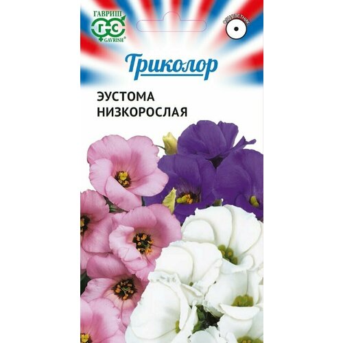 ������ ������ ������ ������� �����������, �����, 9��, ������, �������� ����