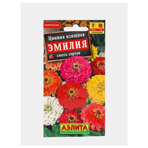 ������ ������ ������. ������ ������� 