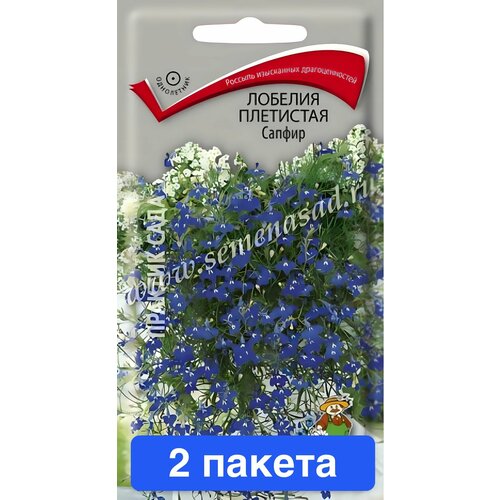 ������ ������ ����� ������� ��������� ������ 2 ������ ����