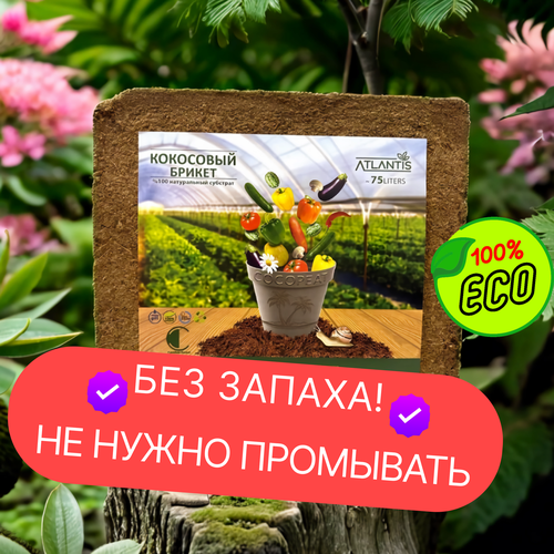 ������ ������ ��������� �������� 